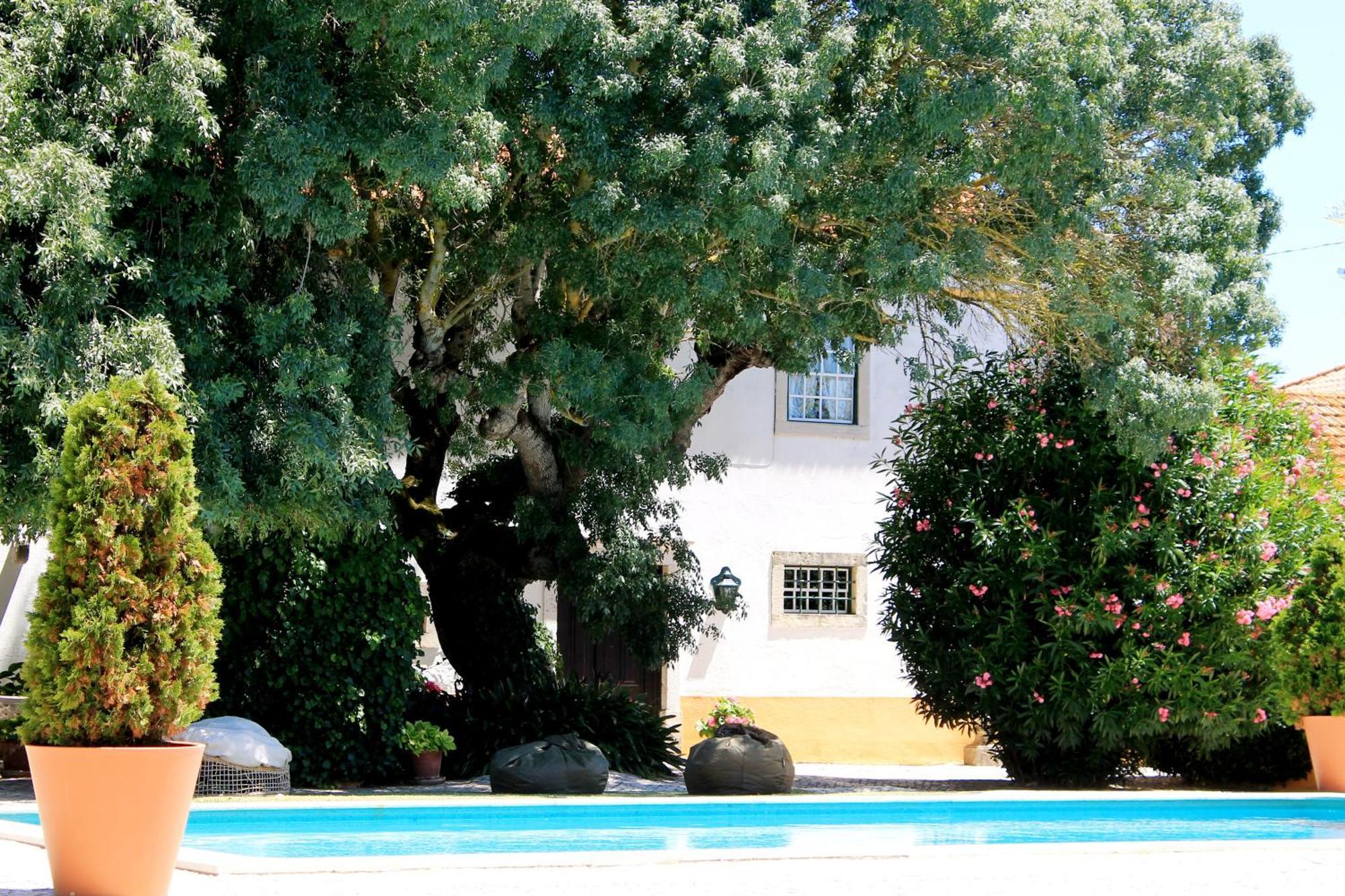 알렌쿠어 Quinta Do Casal De Santo Antonio 빌라 외부 사진