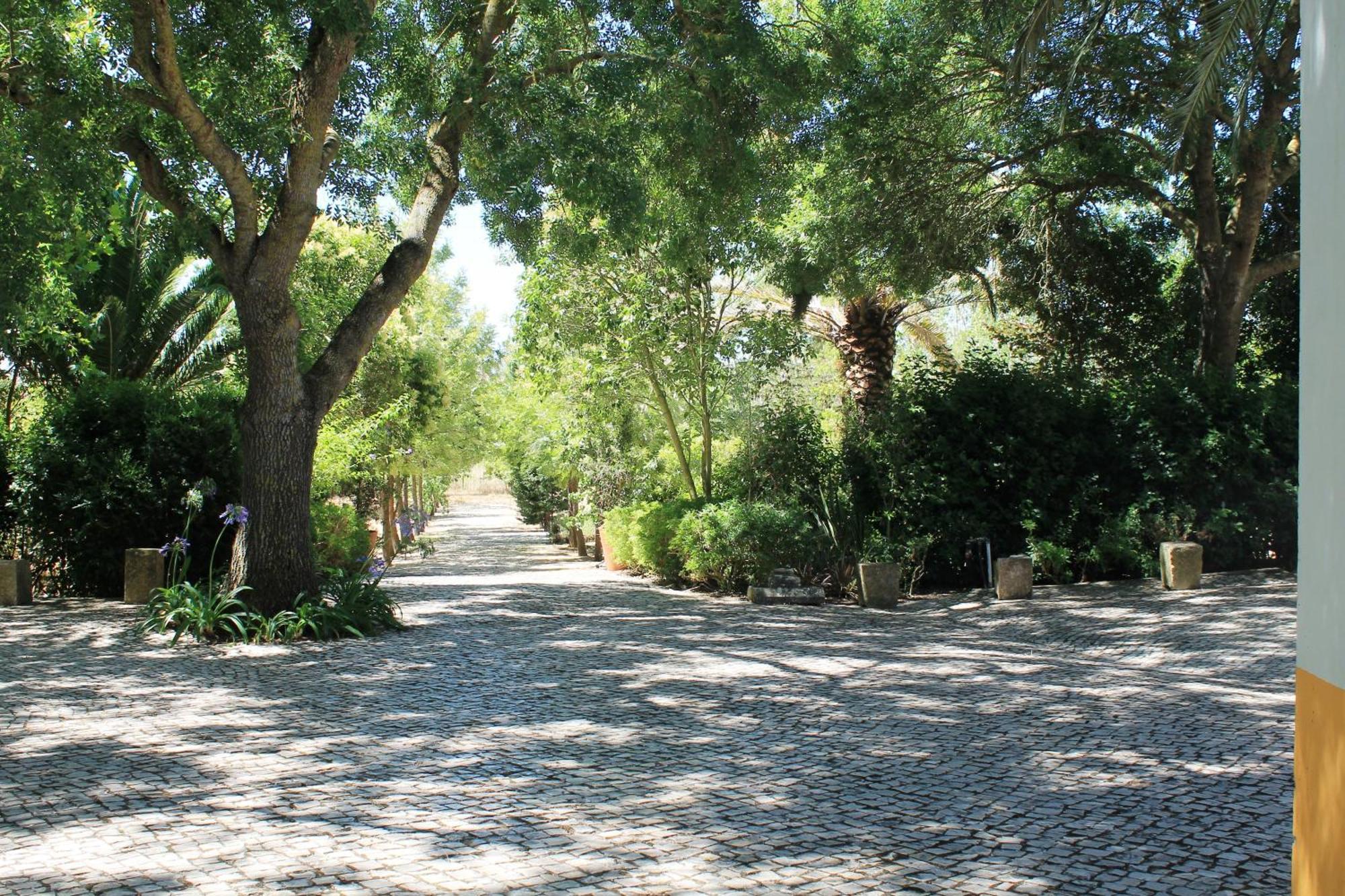 알렌쿠어 Quinta Do Casal De Santo Antonio 빌라 외부 사진